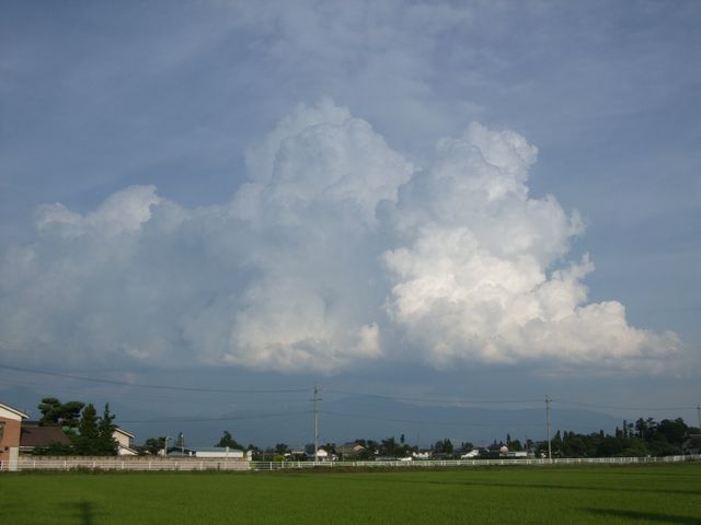 �����ɓ����_��������̂ł����c