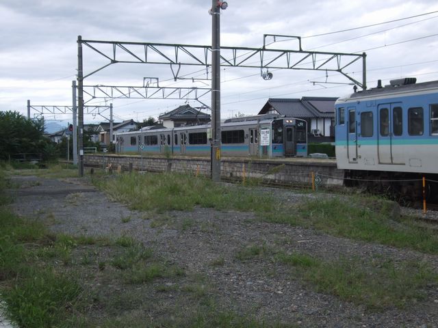 ��Ƃ͑S���֌W�Ȃ��ł�������s��w�ł̌������i