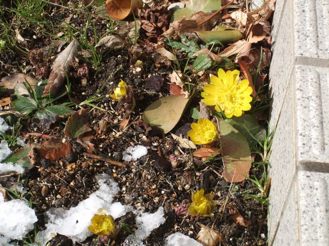 ���N���J���܂���