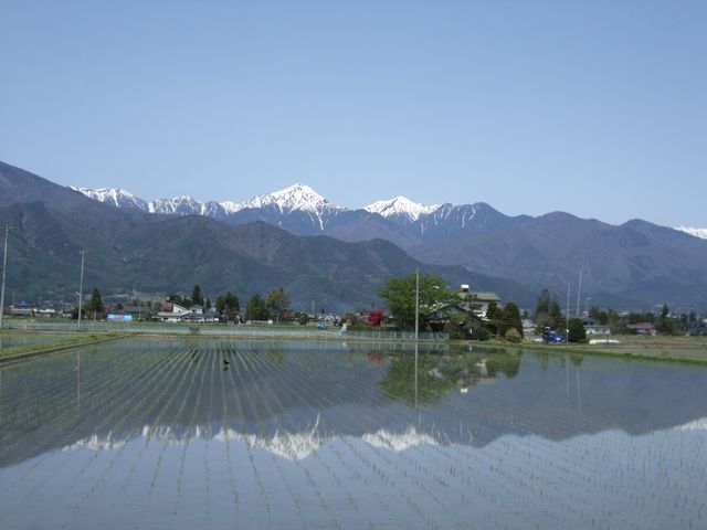 �k�A���v�X��O�x�Ɠc��ڂɉf��t����O(?)