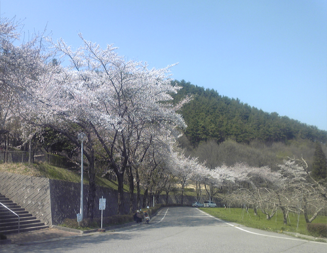 �قږ��J�̎��R�A�O���p�[�N�̍�