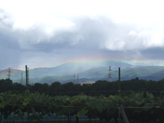 �_�̉������F�Ɂc